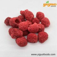 青島宜果凍干出口工廠凍干水果凍干樹莓整粒、樹莓丁、樹莓粉烘焙飲品麥片酸奶蓋